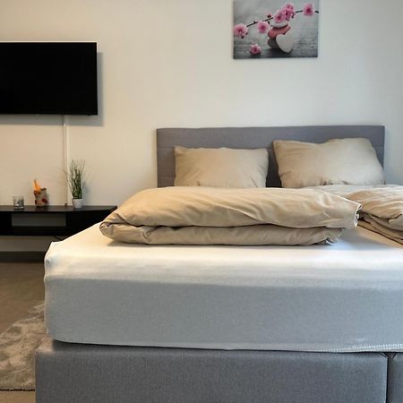 Modernes Apartment In Guter Lage Инголщат Екстериор снимка